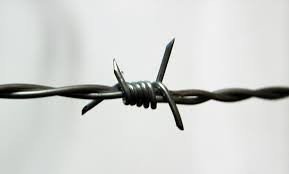 ESPINO