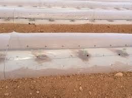 PLASTICO AGRICOLA