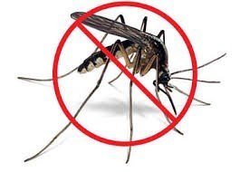 MOSQUITOS