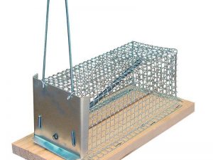 trampa jaula rata 22x8cm