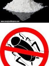 CUCARACHAS