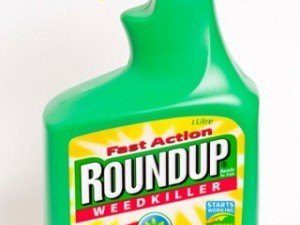 herbicida roundup 1000ml spray