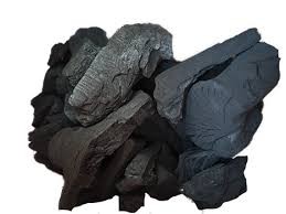 carbon encina natural 5 kilos